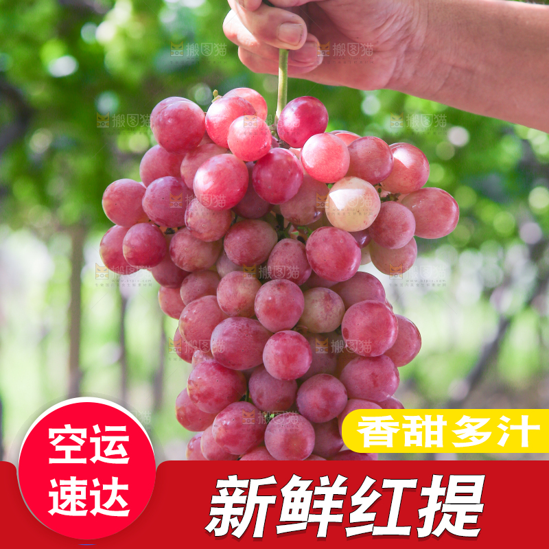 手里拿着新鲜葡萄