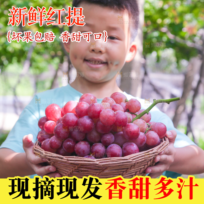 手里拿着新鲜葡萄