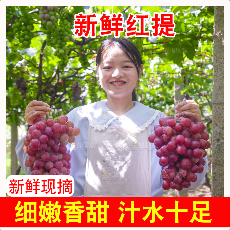 手里拿着新鲜葡萄