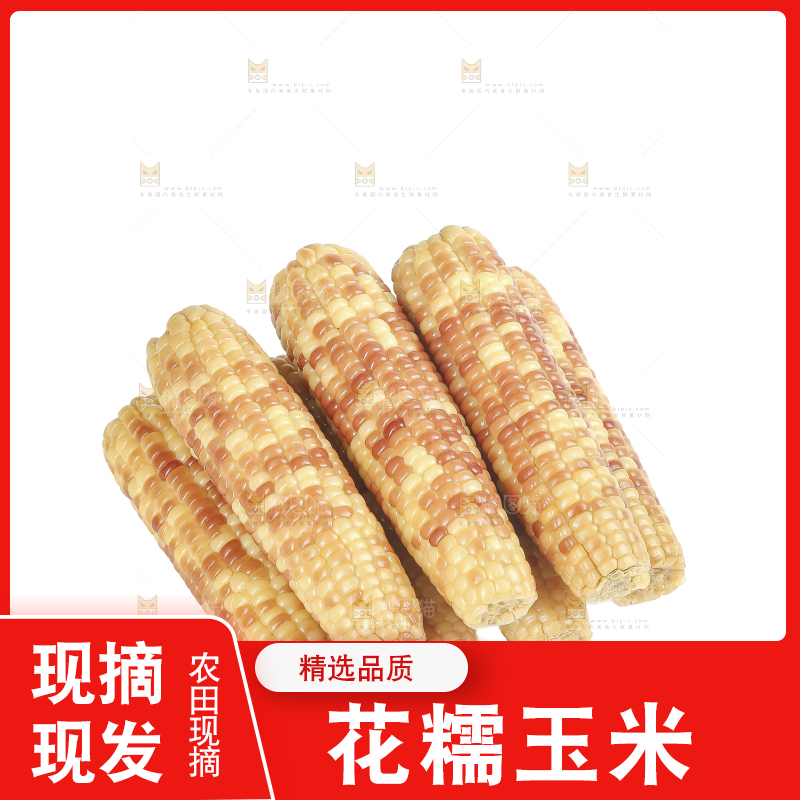 白底上的花糯玉米