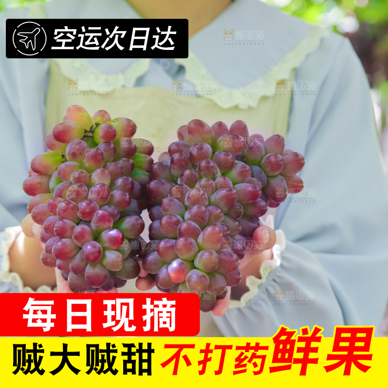 手里拿着茉莉香葡萄