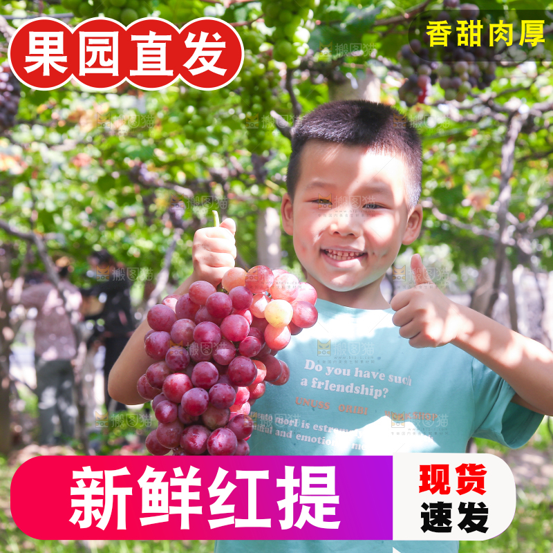 手里拿着新鲜葡萄