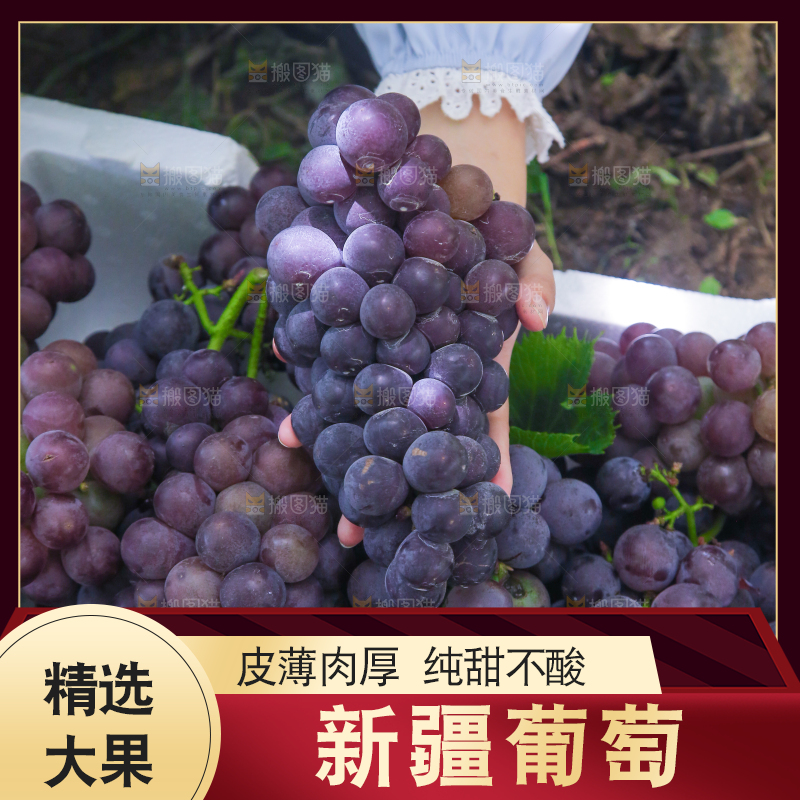 手里拿着新鲜紫葡萄