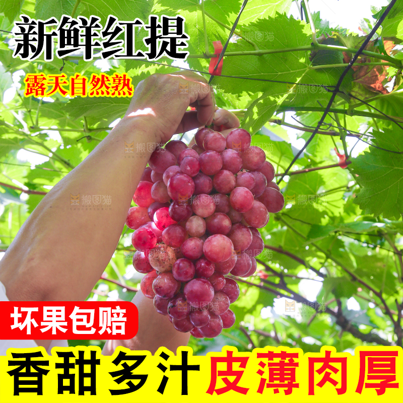手里拿着新鲜葡萄