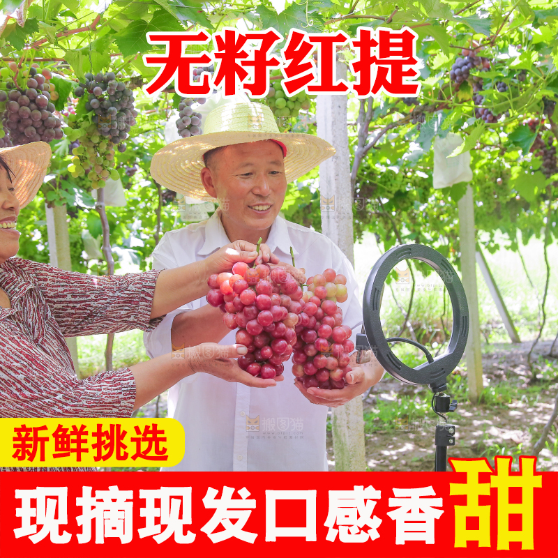 手里拿着新鲜葡萄