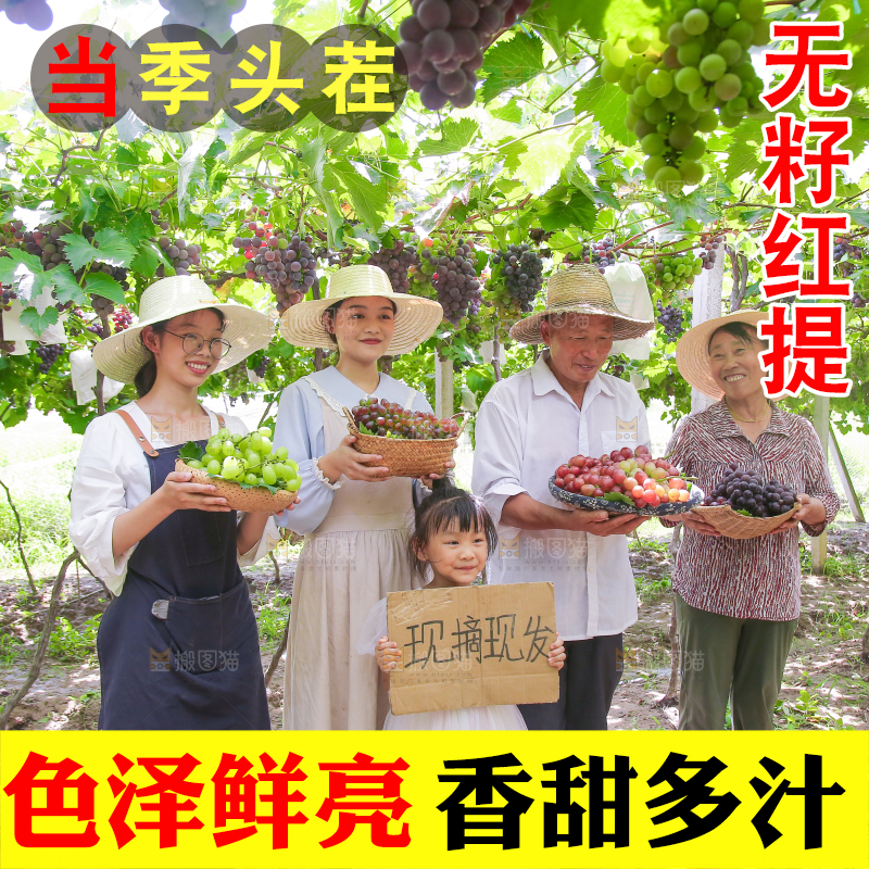 手里拿着新鲜葡萄