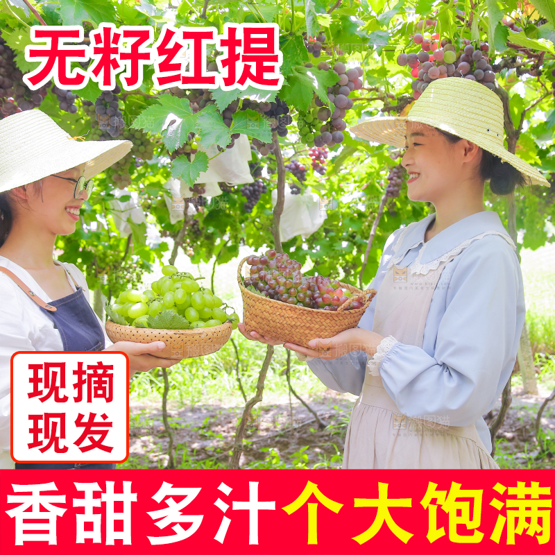 手里拿着新鲜葡萄