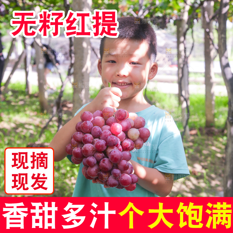 手里拿着新鲜葡萄