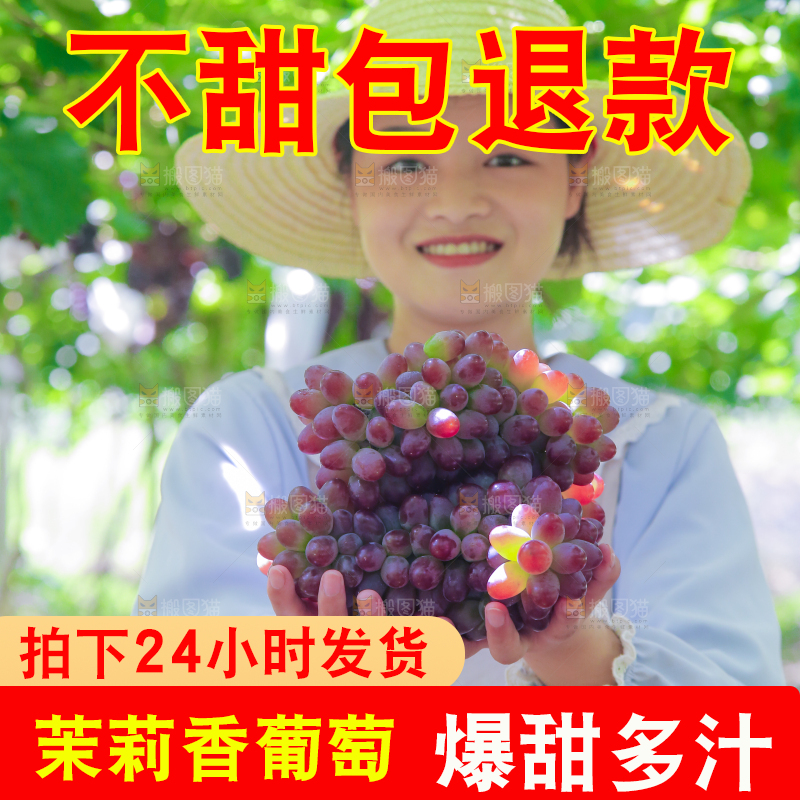 手里拿着茉莉香葡萄