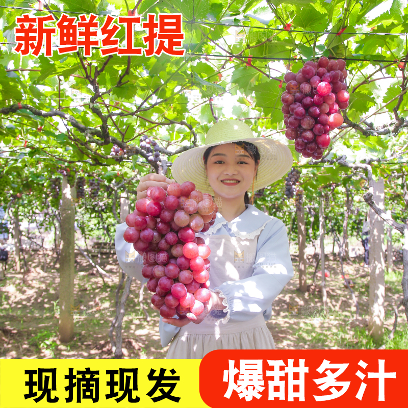 手里拿着新鲜葡萄