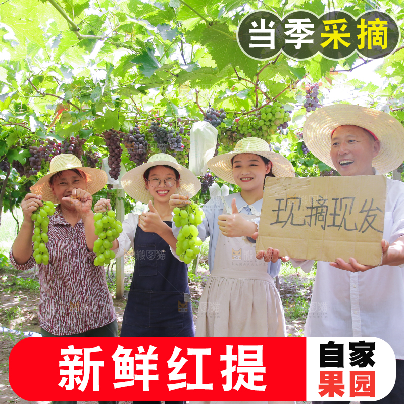 手里拿着新鲜葡萄