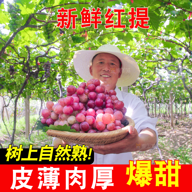 手里拿着新鲜葡萄