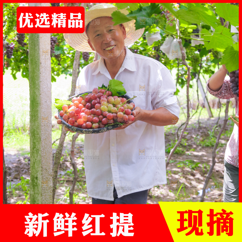 手里拿着新鲜葡萄