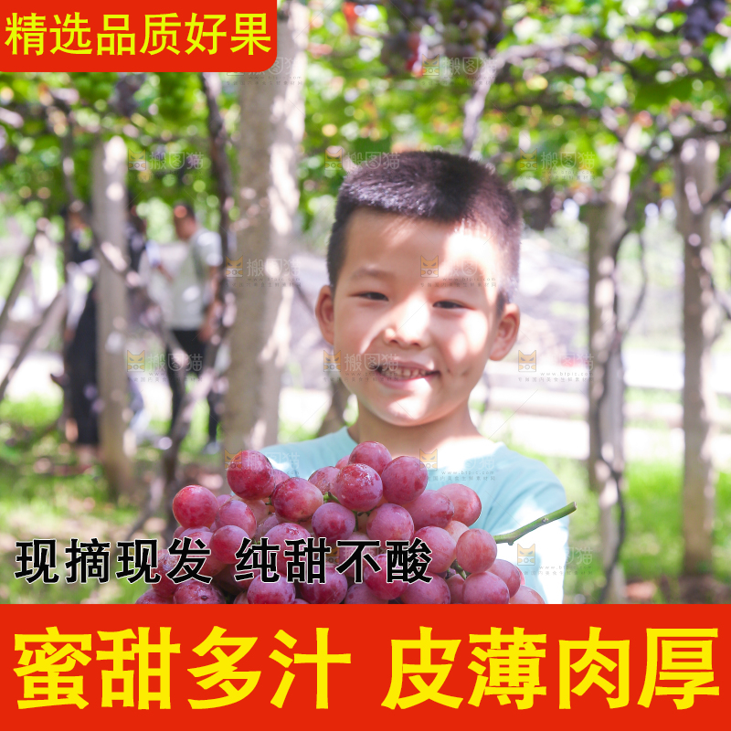 手里拿着新鲜葡萄