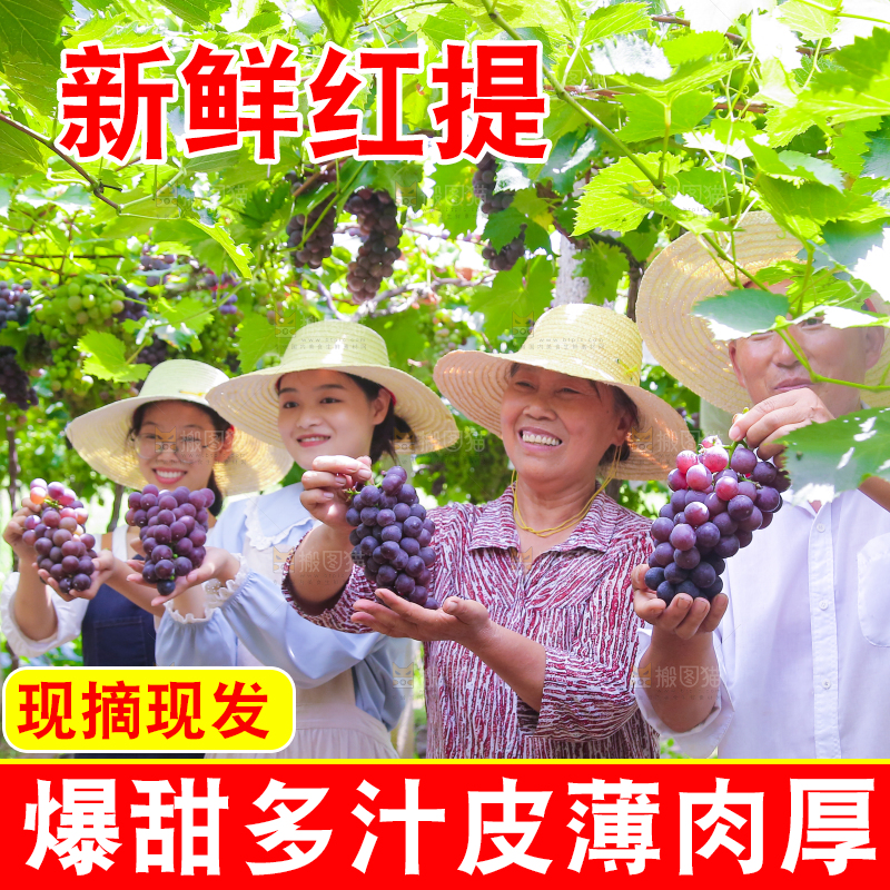 手里拿着新鲜葡萄