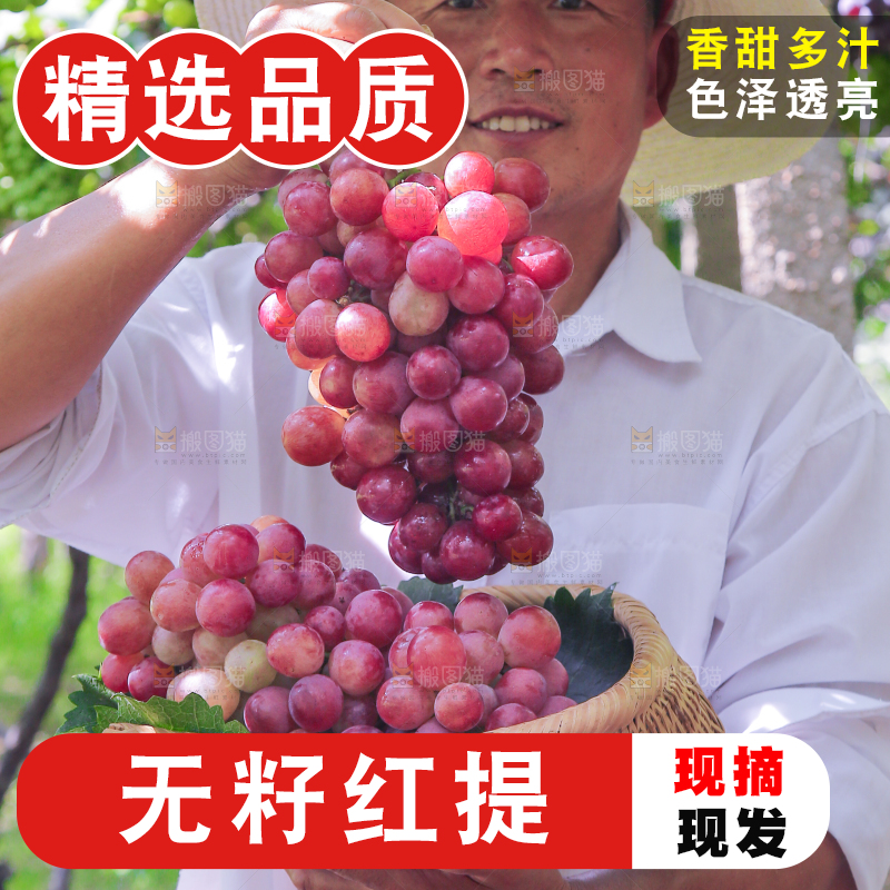 手里拿着新鲜葡萄