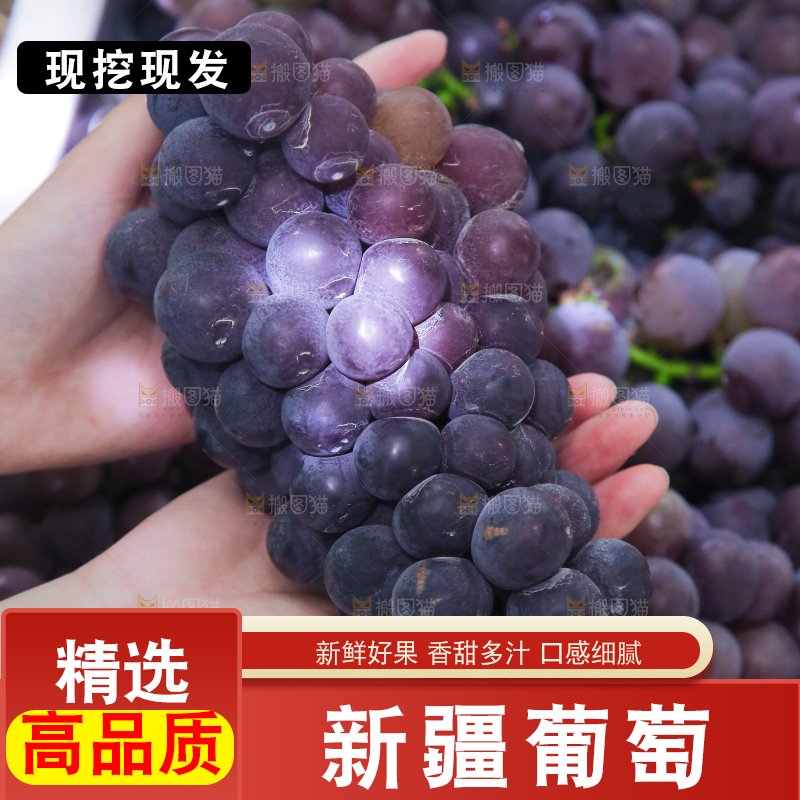 手里拿着新鲜紫葡萄