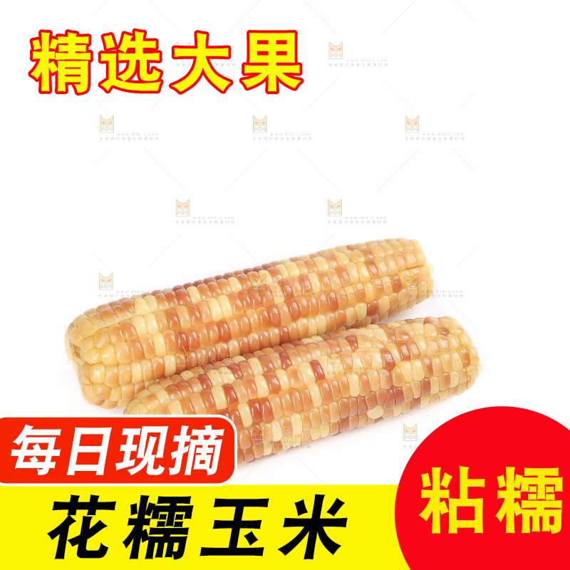 白底上的花糯玉米