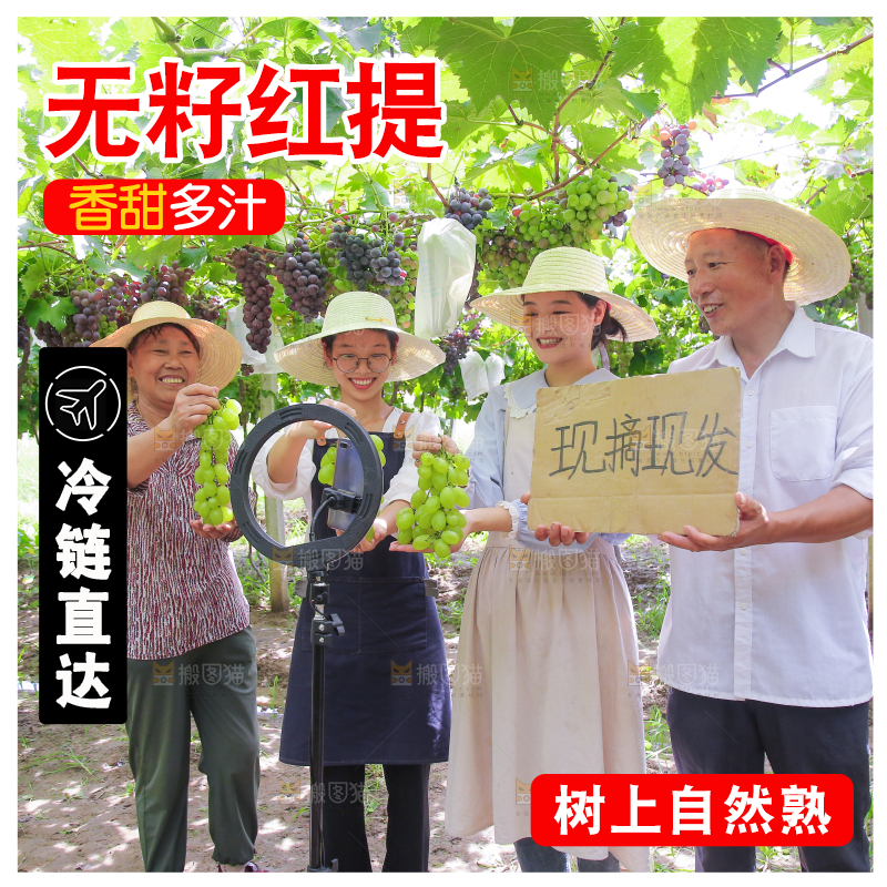 手里拿着新鲜葡萄
