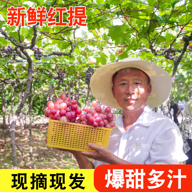 手里拿着新鲜葡萄