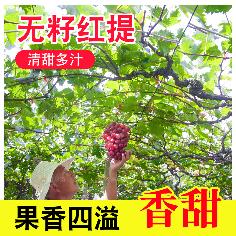 手里拿着新鲜葡萄
