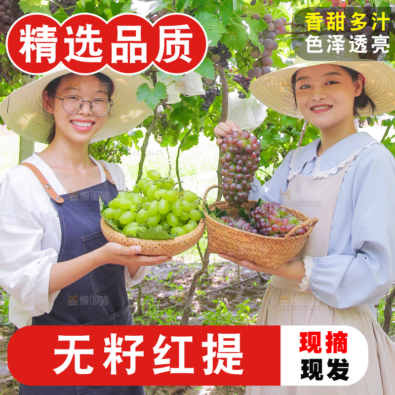 手里拿着新鲜葡萄