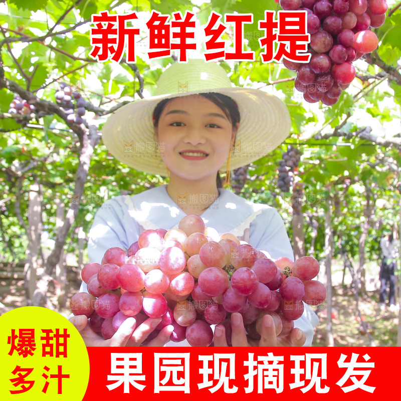 手里拿着新鲜葡萄