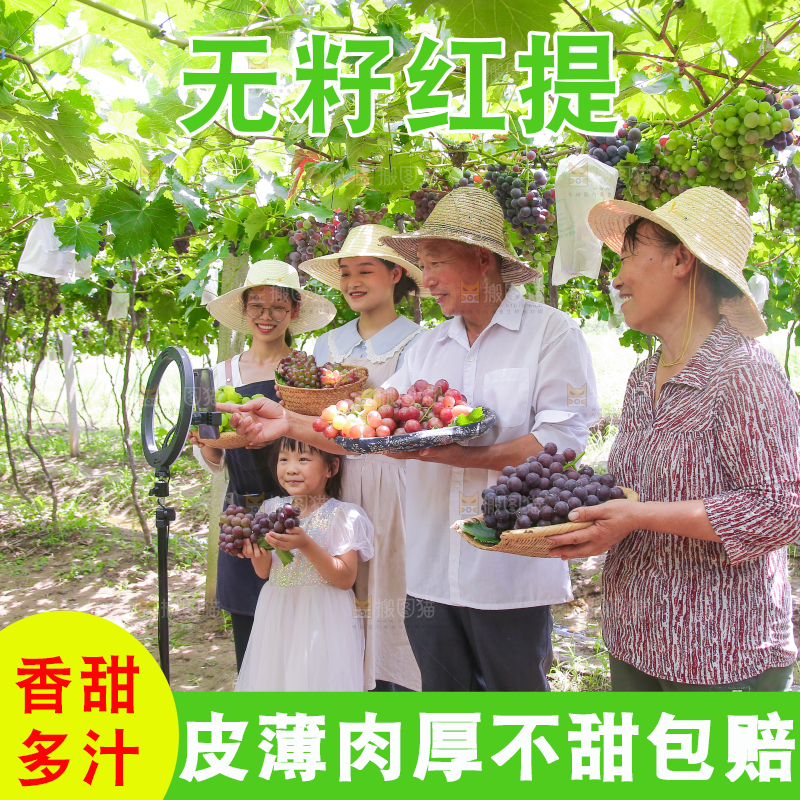 手里拿着新鲜葡萄