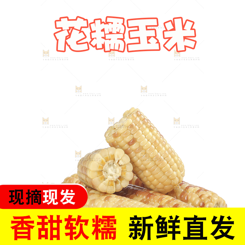 白底上的花糯玉米
