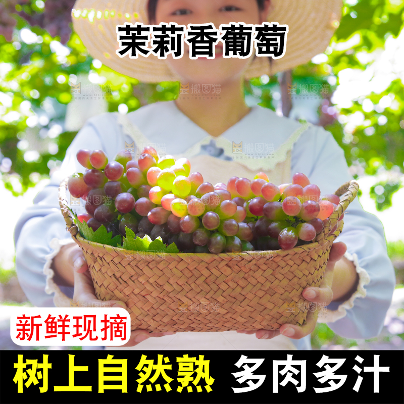 手里拿着茉莉香葡萄
