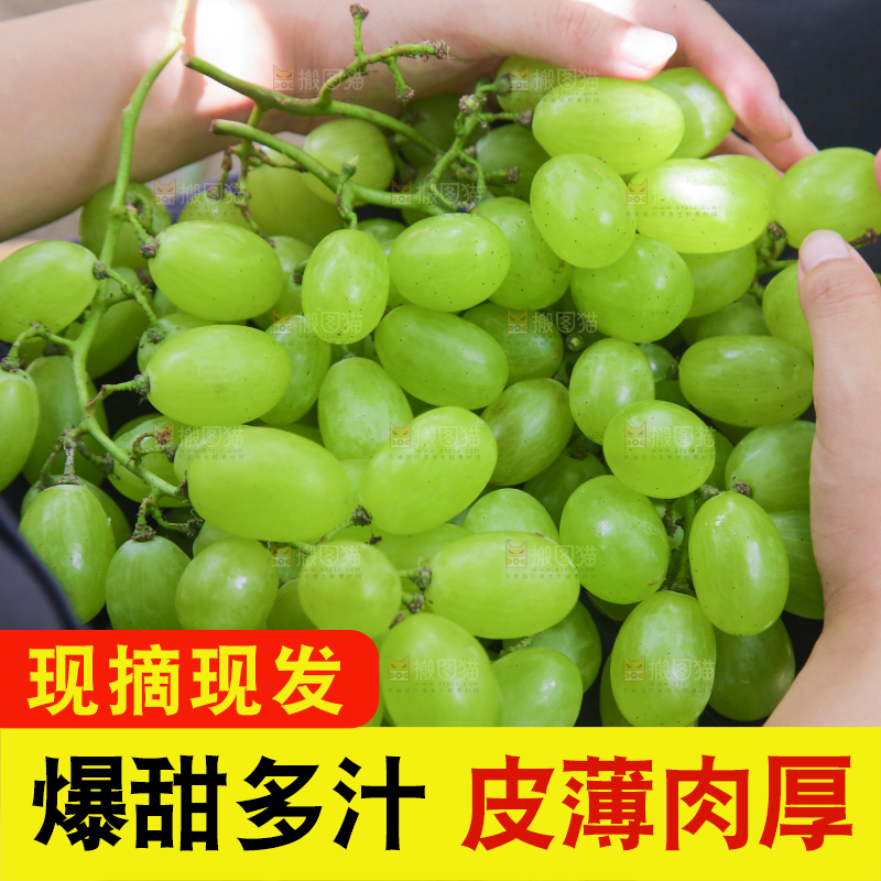 手里拿着青提