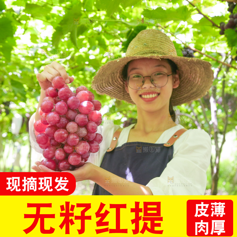 手里拿着新鲜葡萄
