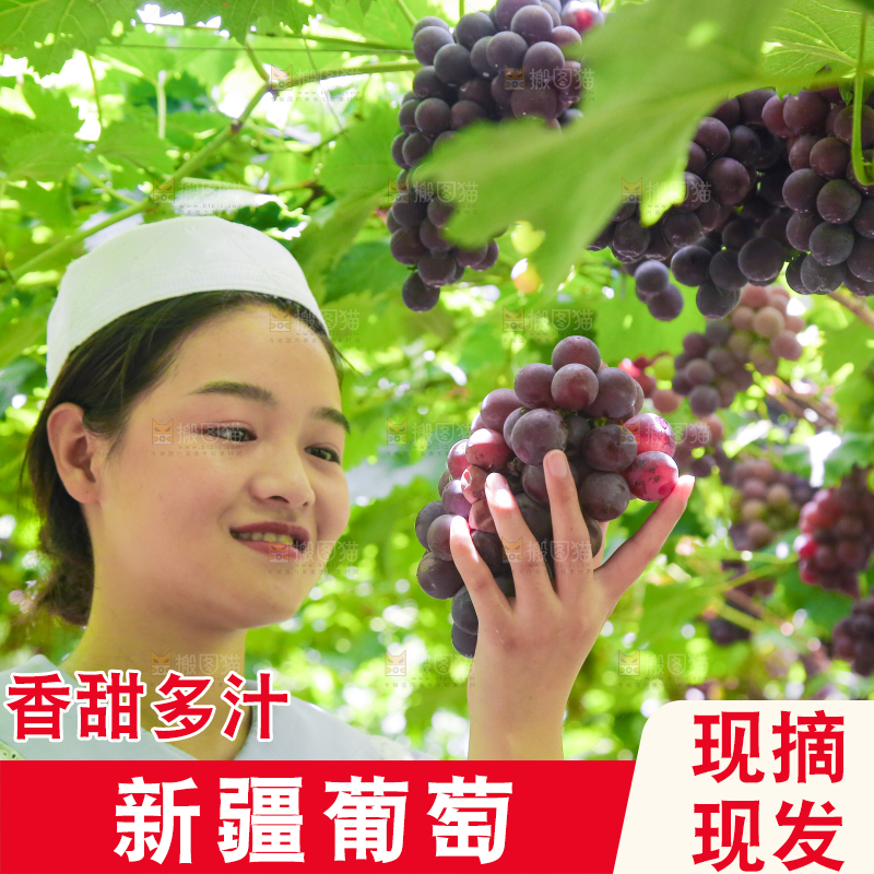 手里拿着新鲜紫葡萄