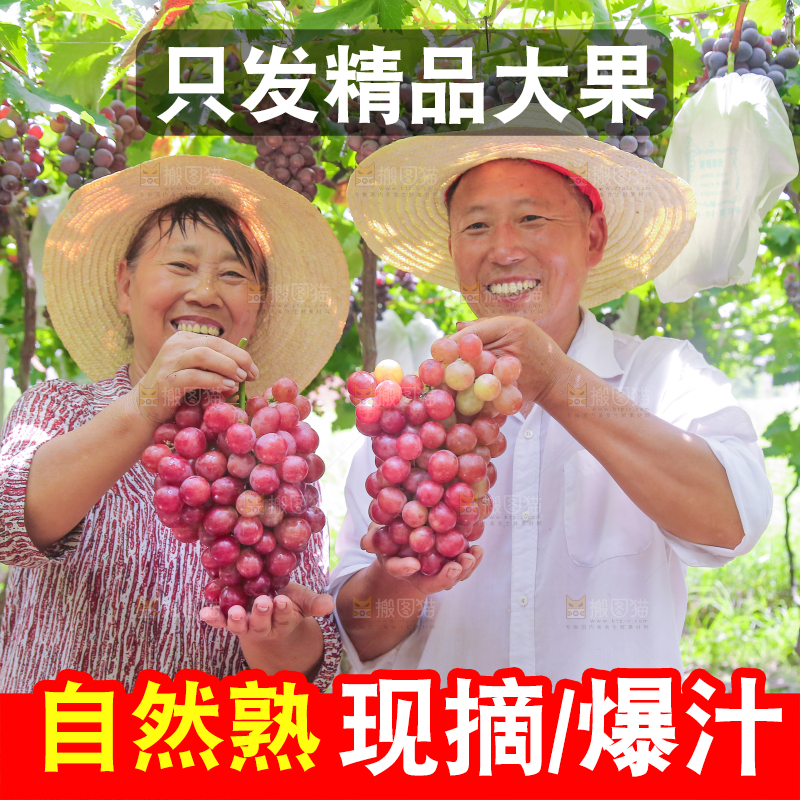 手里拿着新鲜葡萄