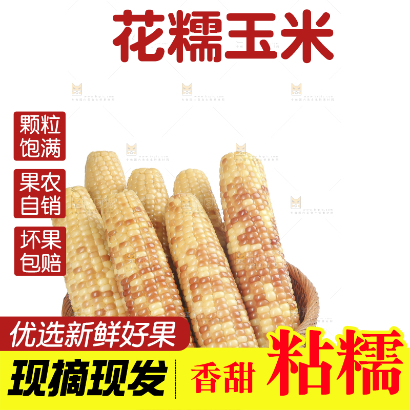 白底上的花糯玉米
