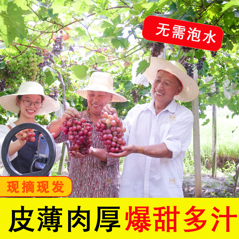 手里拿着新鲜葡萄