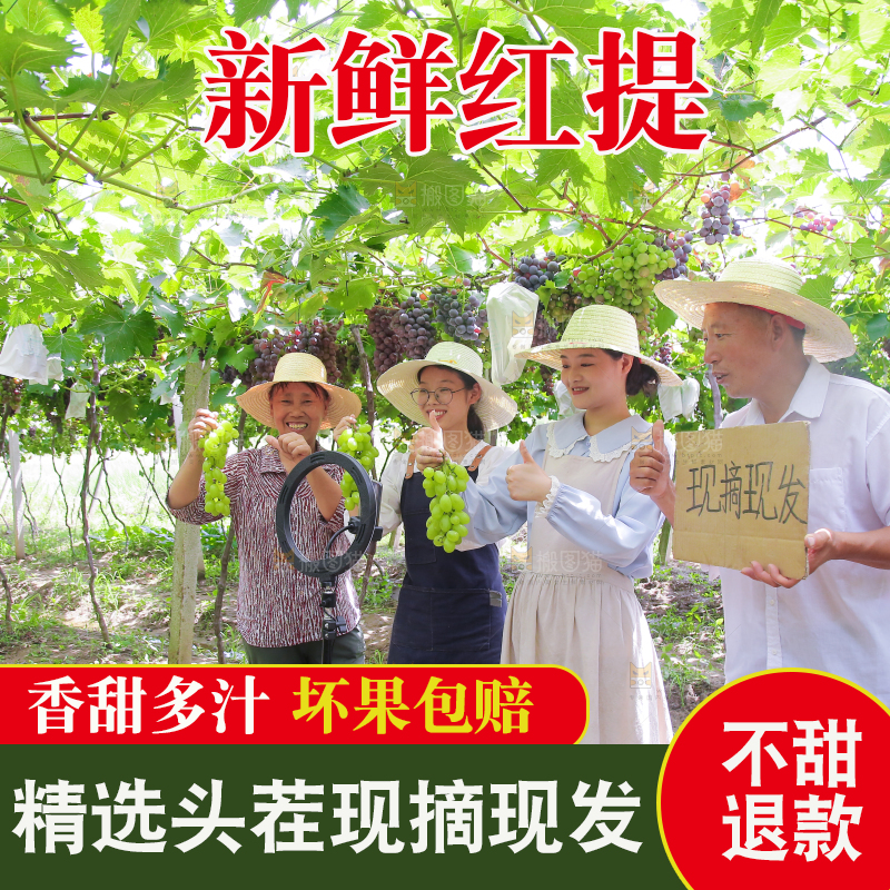 手里拿着新鲜葡萄