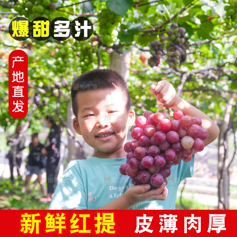 手里拿着新鲜葡萄