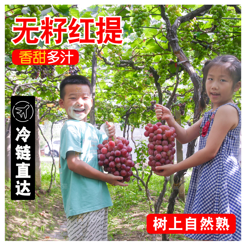 手里拿着新鲜葡萄
