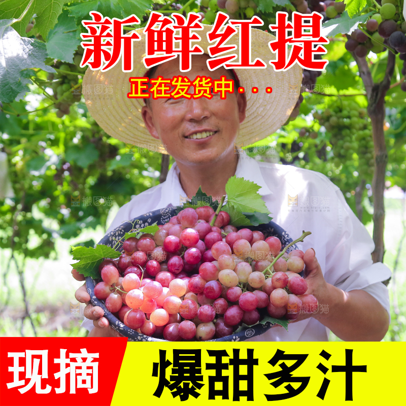 手里拿着新鲜葡萄