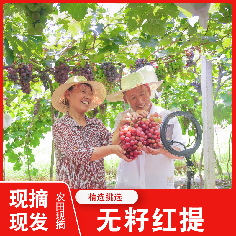 手里拿着新鲜葡萄
