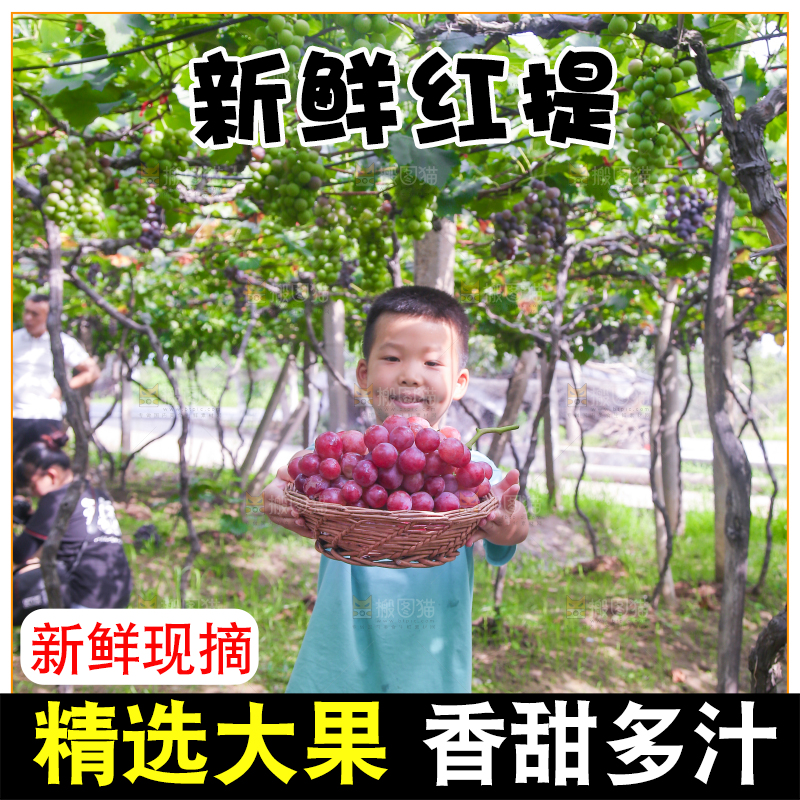 手里拿着新鲜葡萄