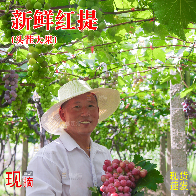 手里拿着新鲜葡萄
