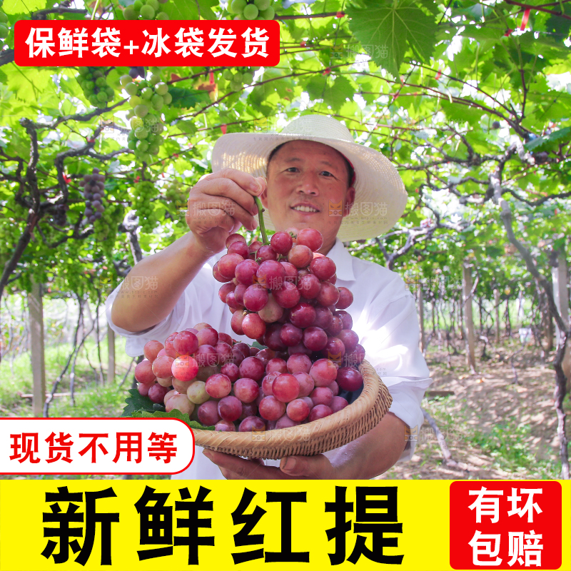 手里拿着新鲜葡萄