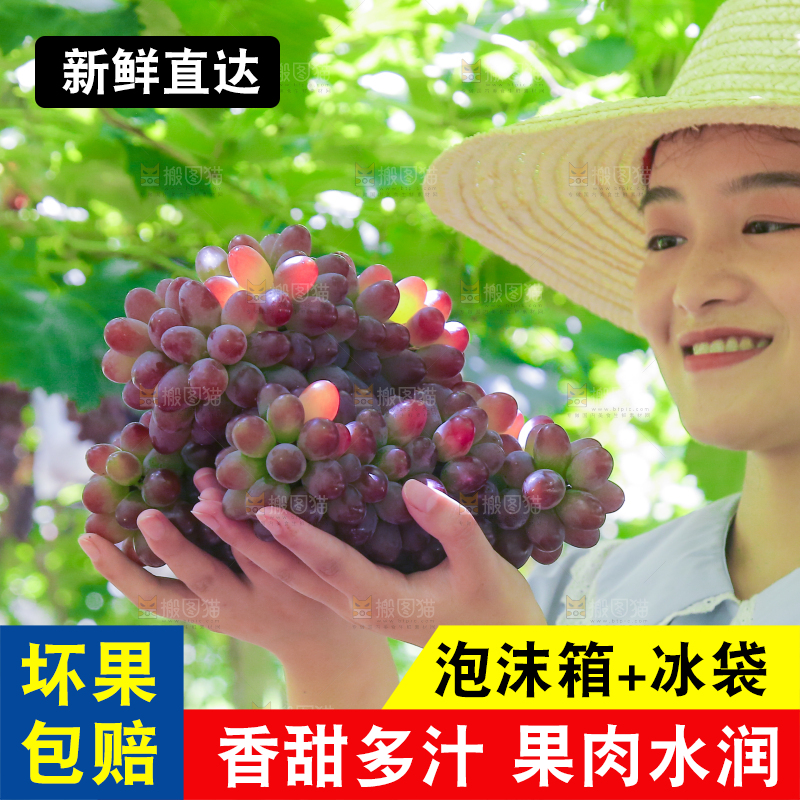 手里拿着茉莉香葡萄