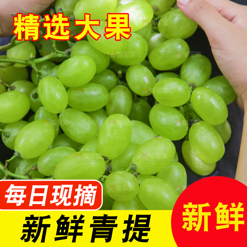 手里拿着青提