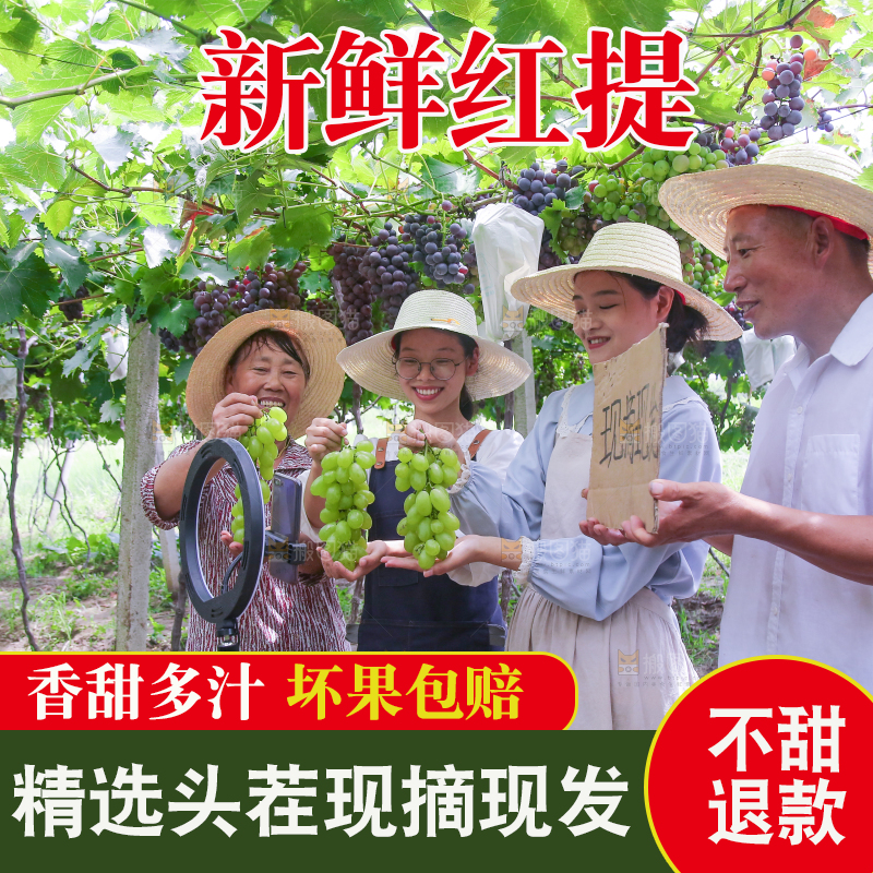 手里拿着新鲜葡萄
