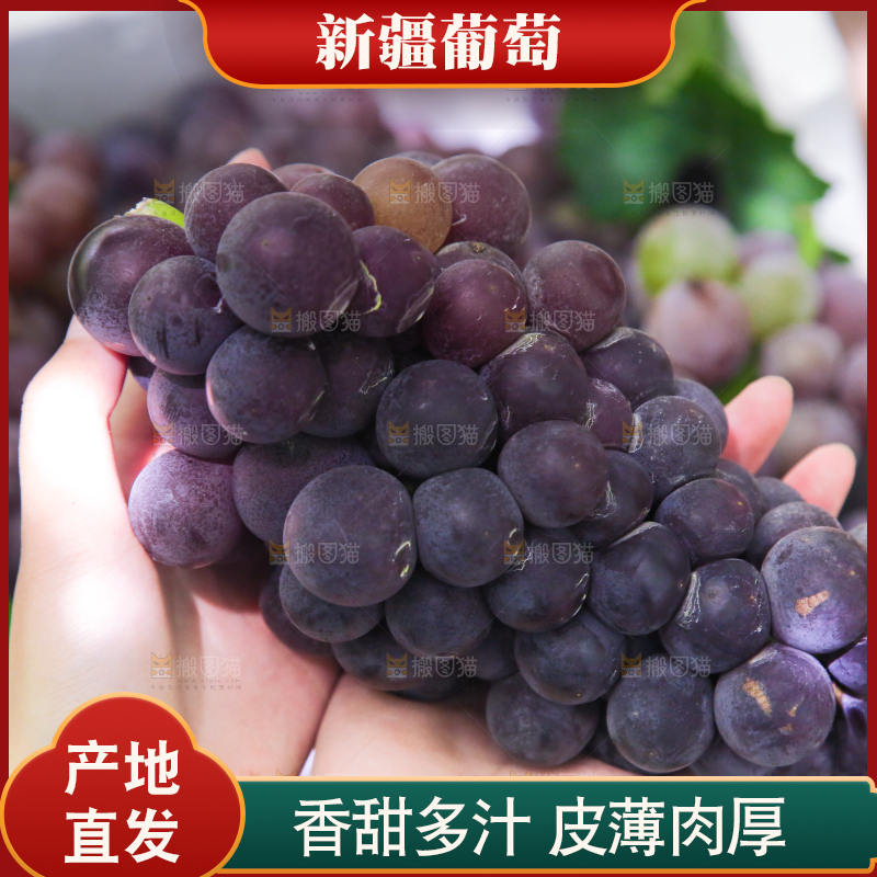 手里拿着新鲜紫葡萄