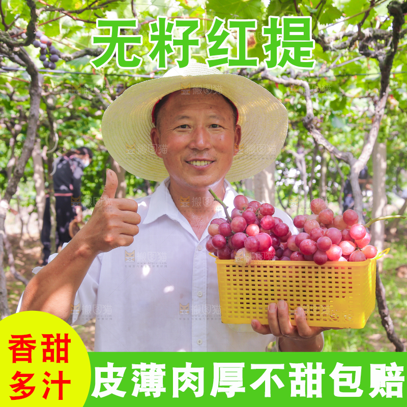 手里拿着新鲜葡萄