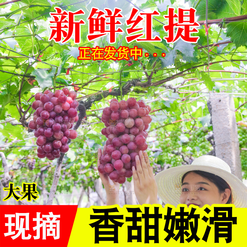 手里拿着新鲜葡萄